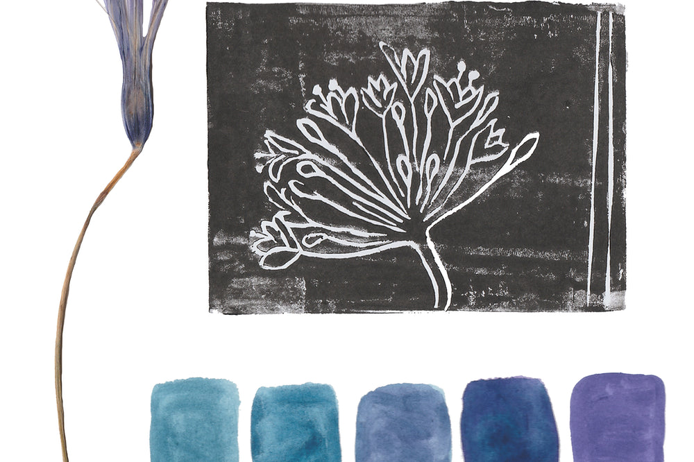 Agapanthus Ditsy