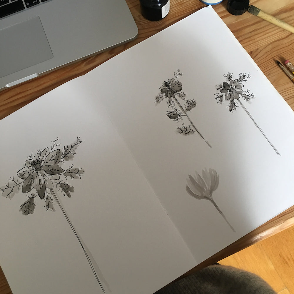 Love in a Mist Illustration by Holly Woodman
