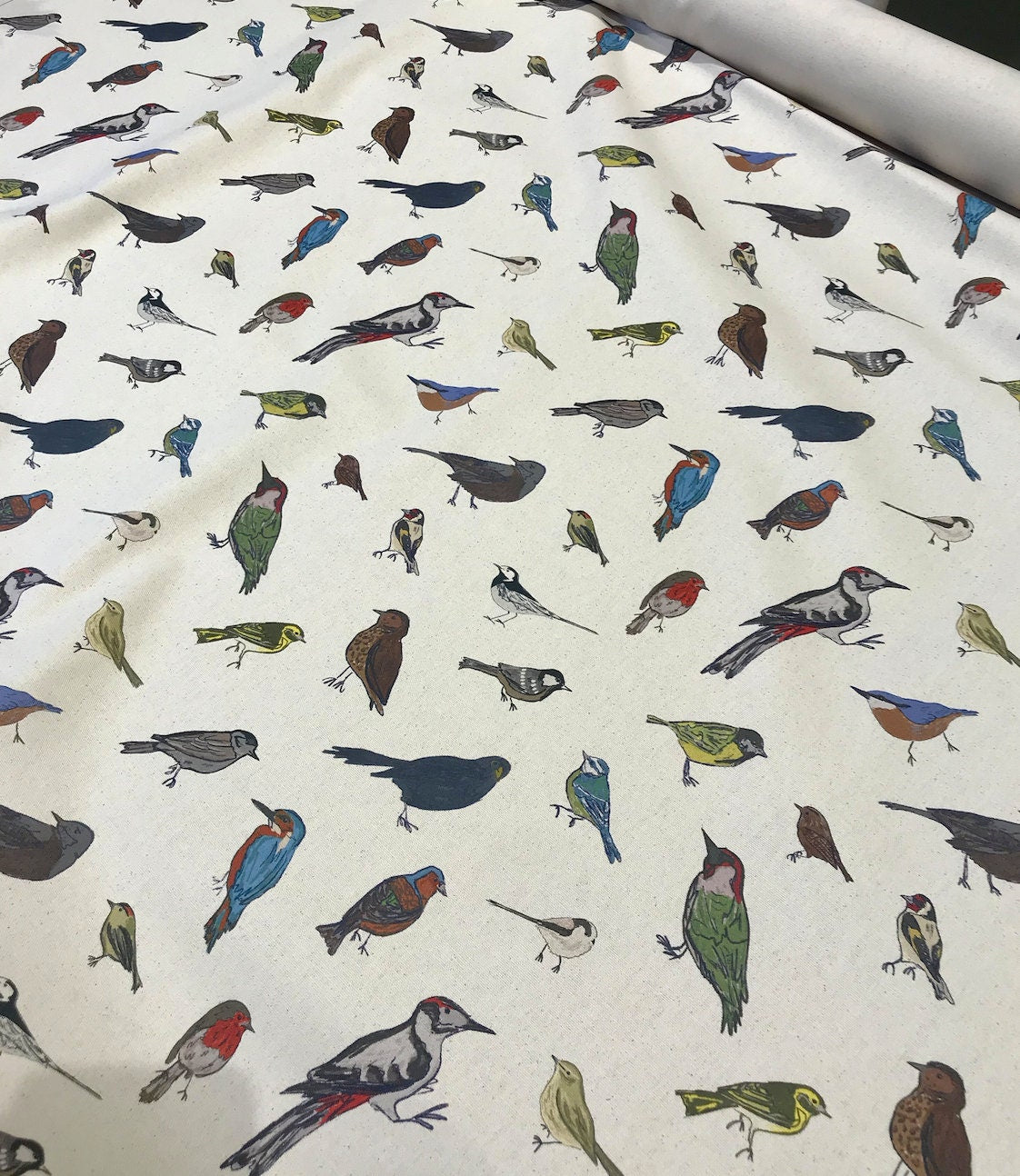 British Birds Cushion