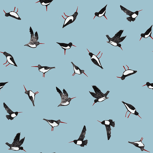 Oyster Catcher Collage
